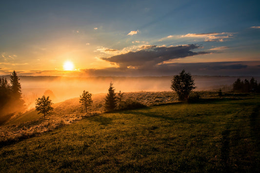 How to Build a Calming Morning Routine Naturally